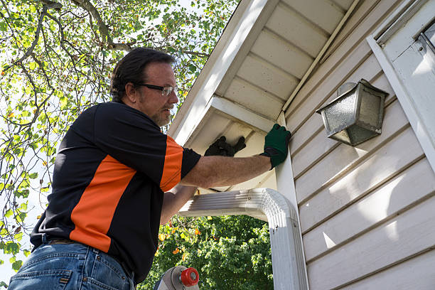 Best Hoarding Cleanup  in Springfield, MO